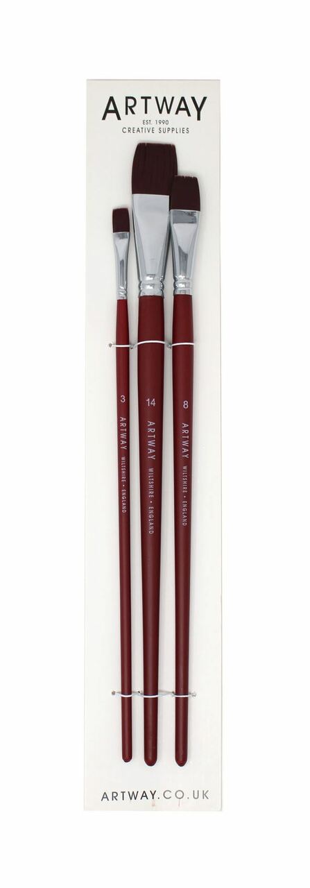 Paintbrush Set of 3 Long handle Flat