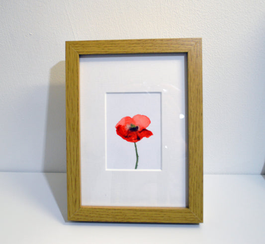 Poppy In Frame