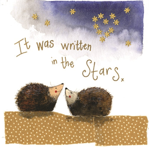 Stars Hedgehogs Greeting Card