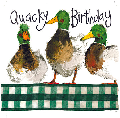 Ducks Birthday Greeting Card