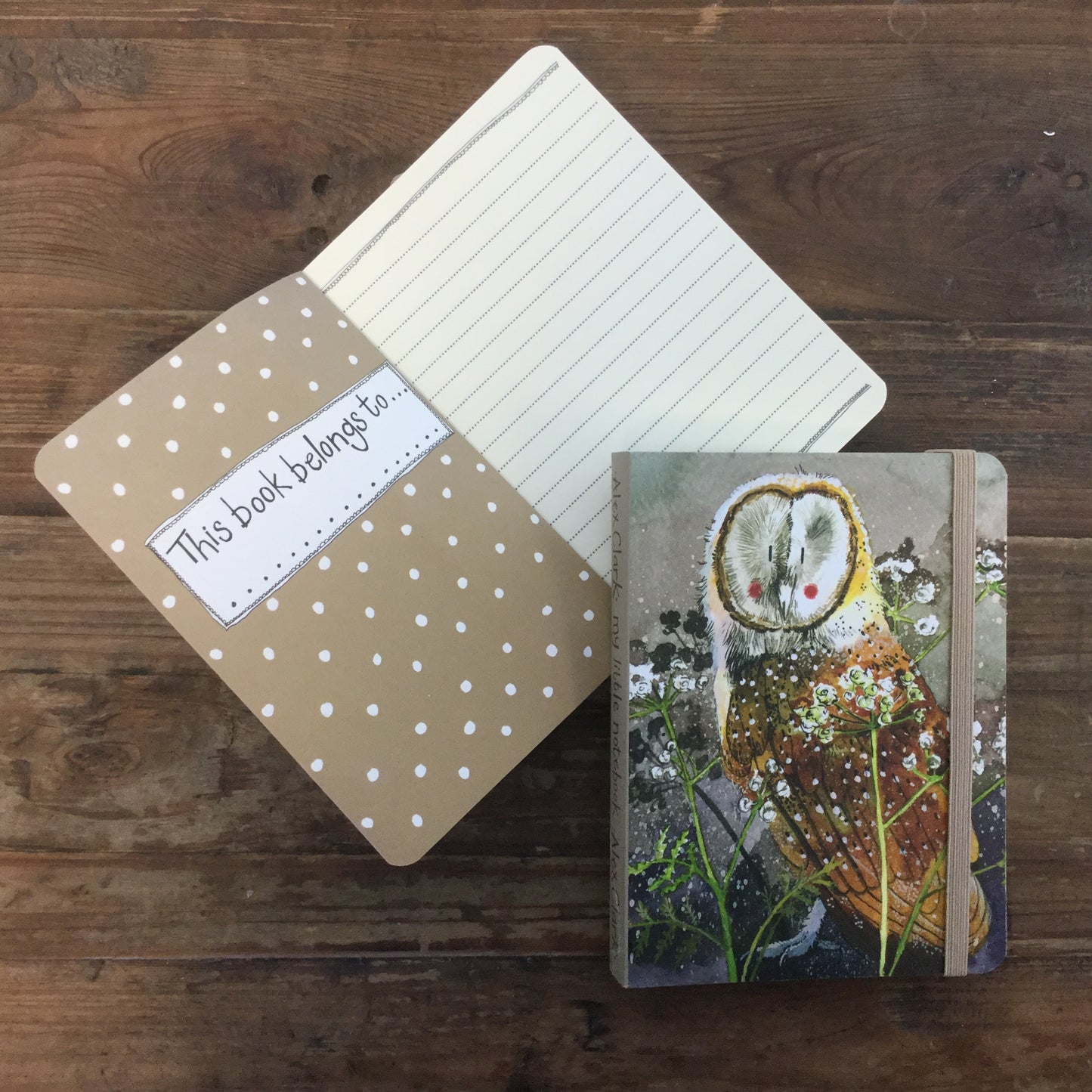 Barn Owl Small Chunky Notebook