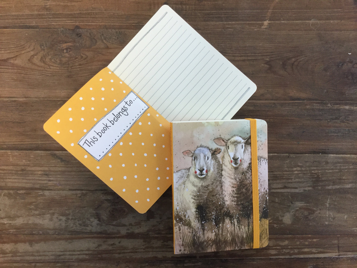 Companions Sheep Small Chunky Notebook