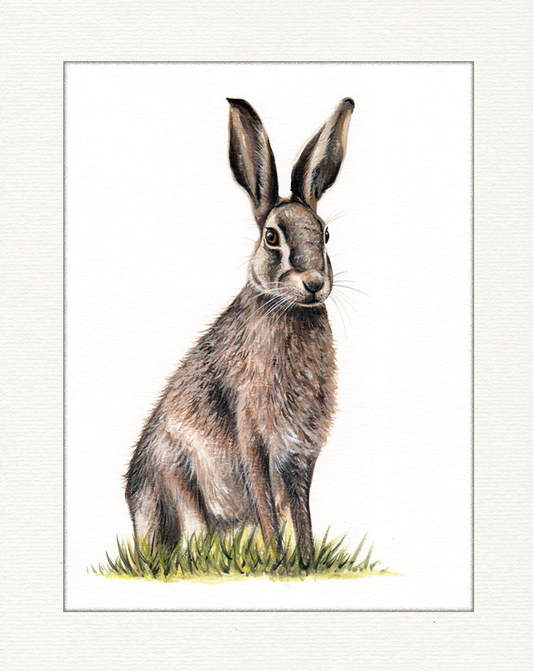 Hare
