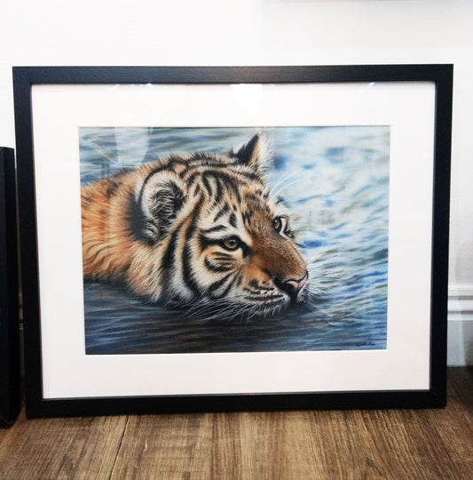 Tiger Pastel Pencil Drawing Framed