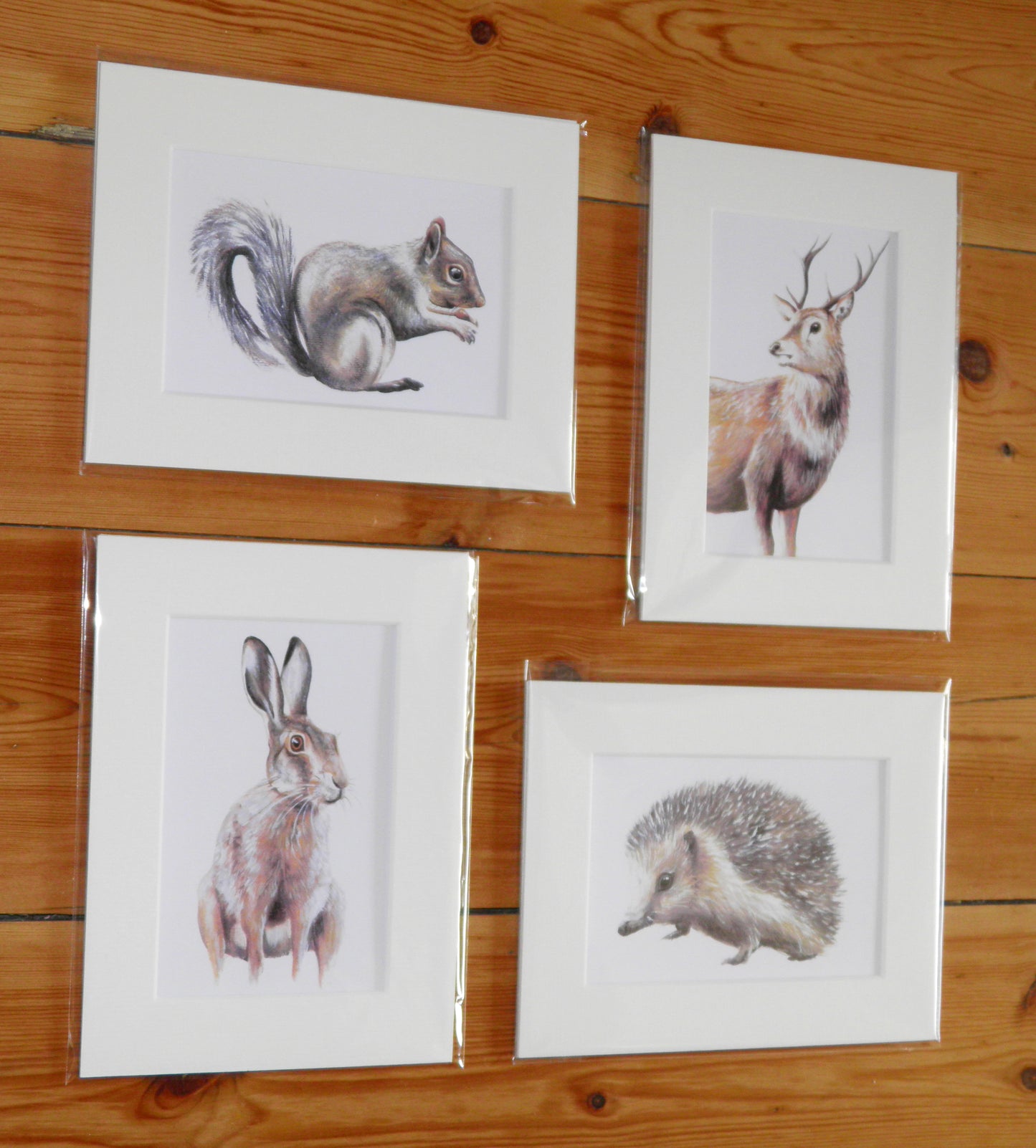 Set of 4 Wildlife Prints II