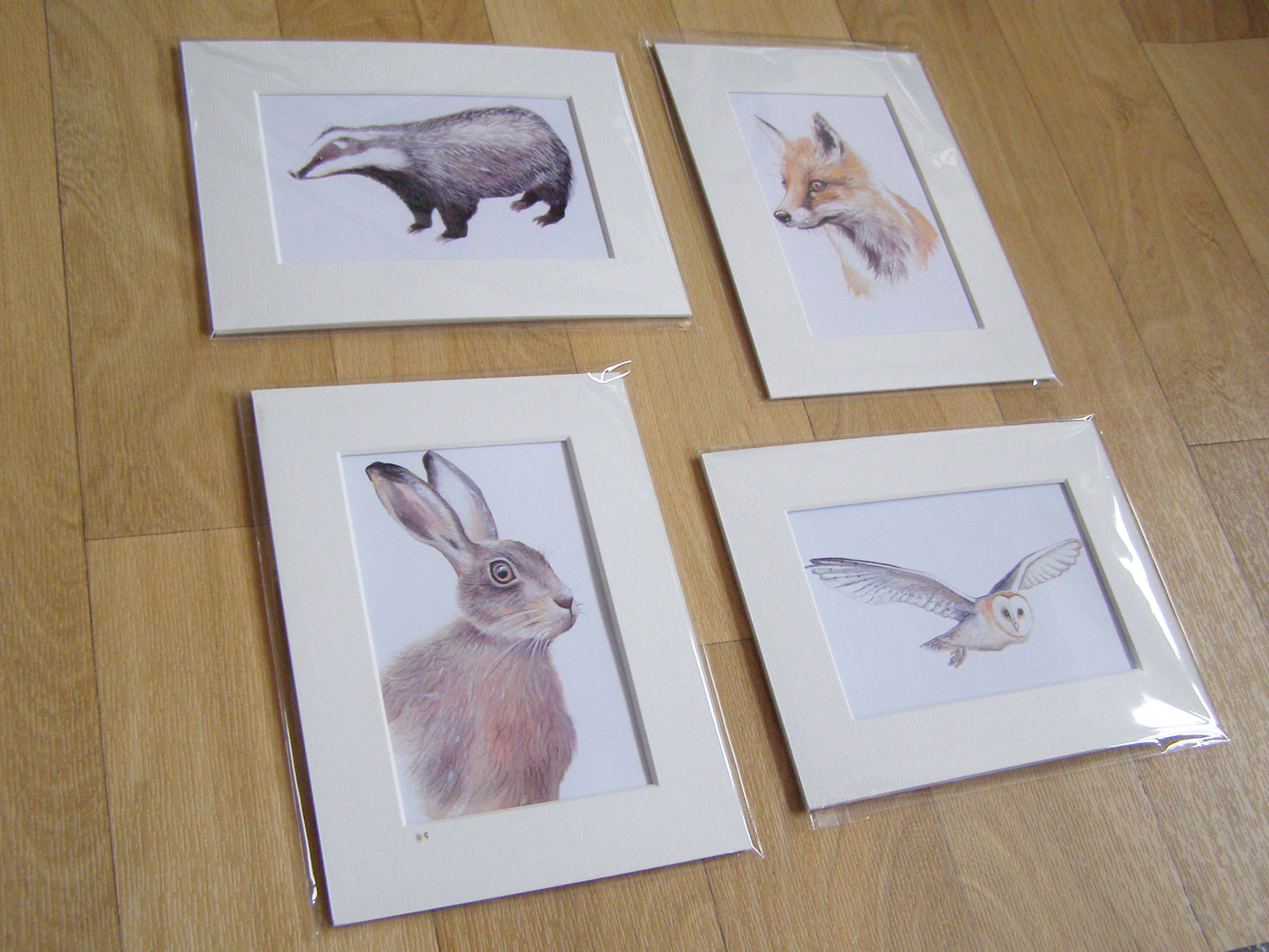 Set of 4 Wildlife Prints